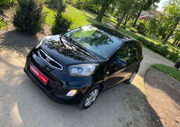 kia kujawsko-pomorskie Kia Picanto cena 19999 przebieg: 171000, rok produkcji 2014 z Maków Podhalański